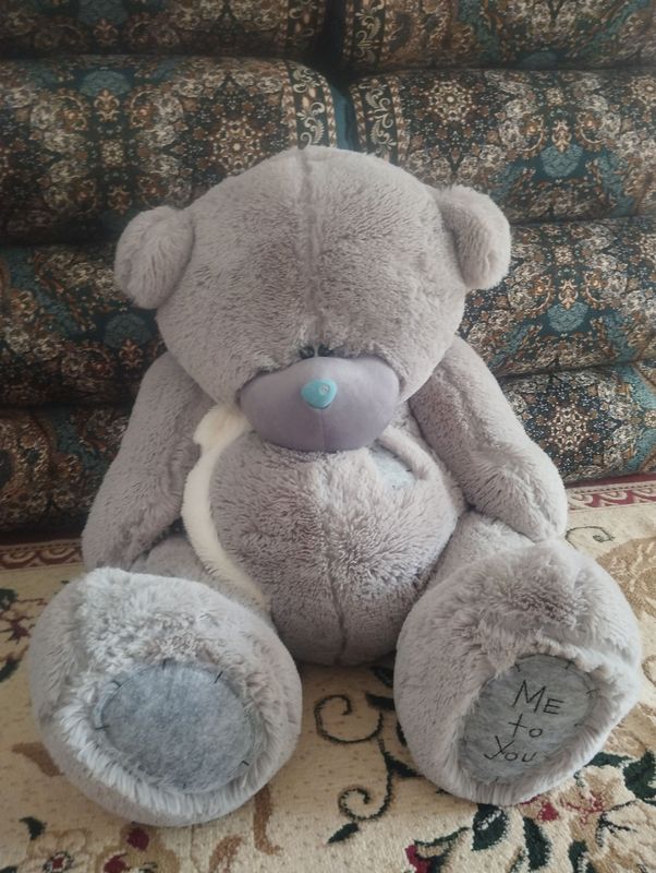 teddy ayiqcha