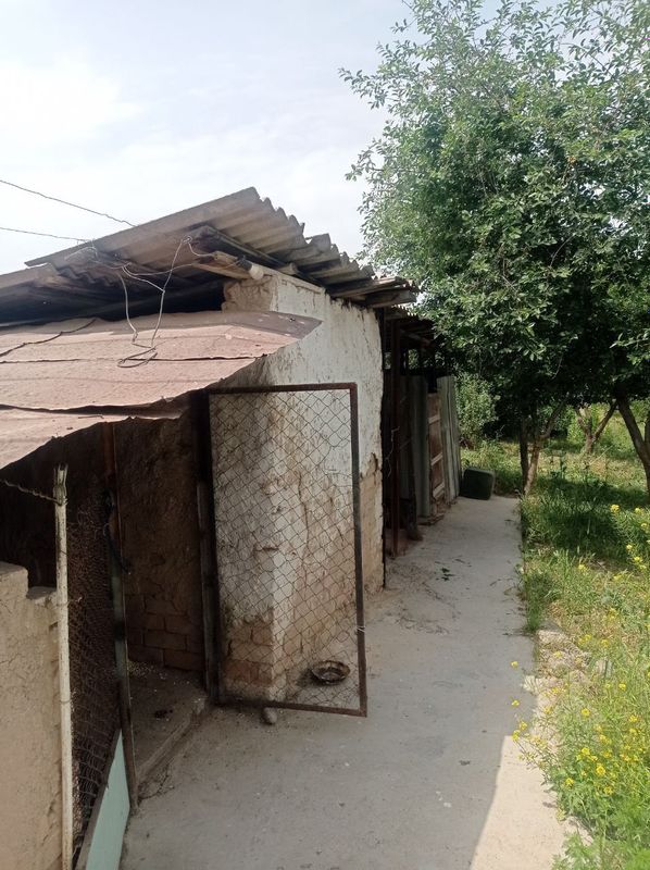 Дачный участок,Паркенский район, Новбахор. Дачный участок,Паркенский район, Новбахор.