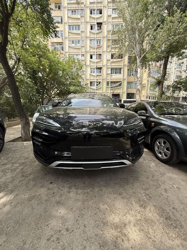 BYD Champion smart 2025 BYD Champion smart 2025