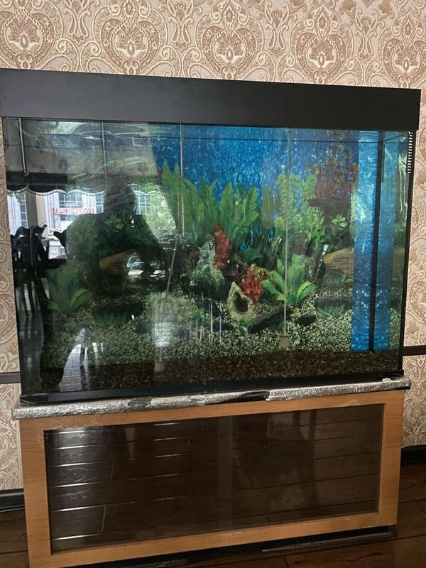 Аквариум, Akvarium Аквариум, Akvarium