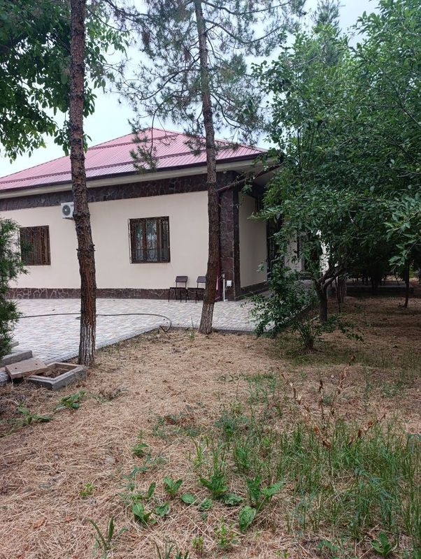 Отмасфера проста боба Отмасфера проста боба