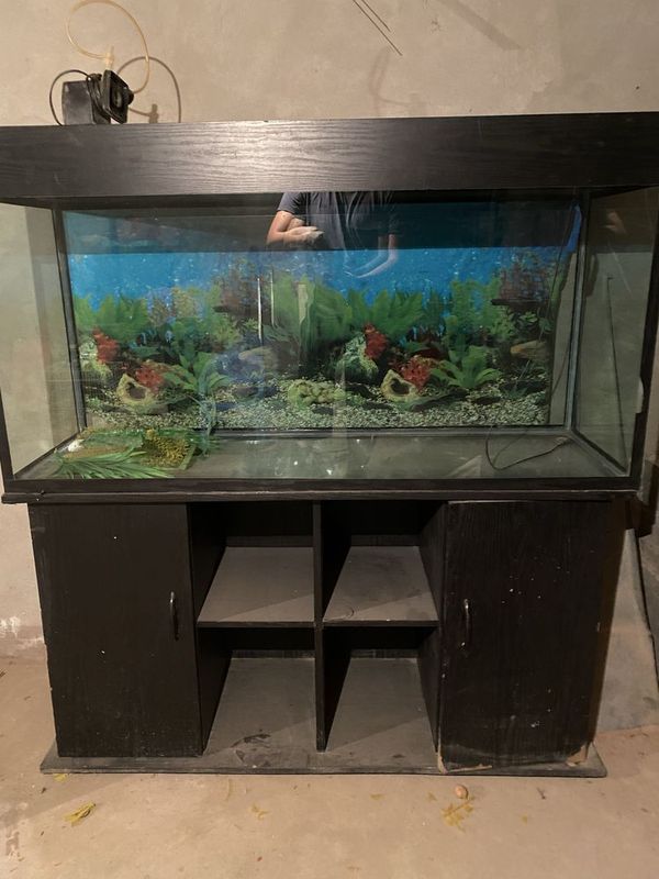 Baliq uchun akvarium Baliq uchun akvarium