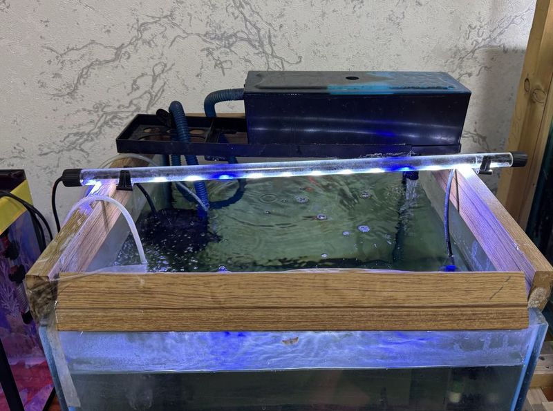 Akvarium 150 yoki 120 litr bolishi kerak filtir grelka kislarod ichida Akvarium 150 yoki 120 litr bolishi kerak filtir grelka kislarod ichida