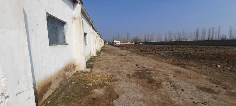 Quvasoy shahrida Bo`rdoqchilik kompleksi bino va inshootlari sotiladi Quvasoy shahrida Bo`rdoqchilik kompleksi bino va inshootlari sotiladi