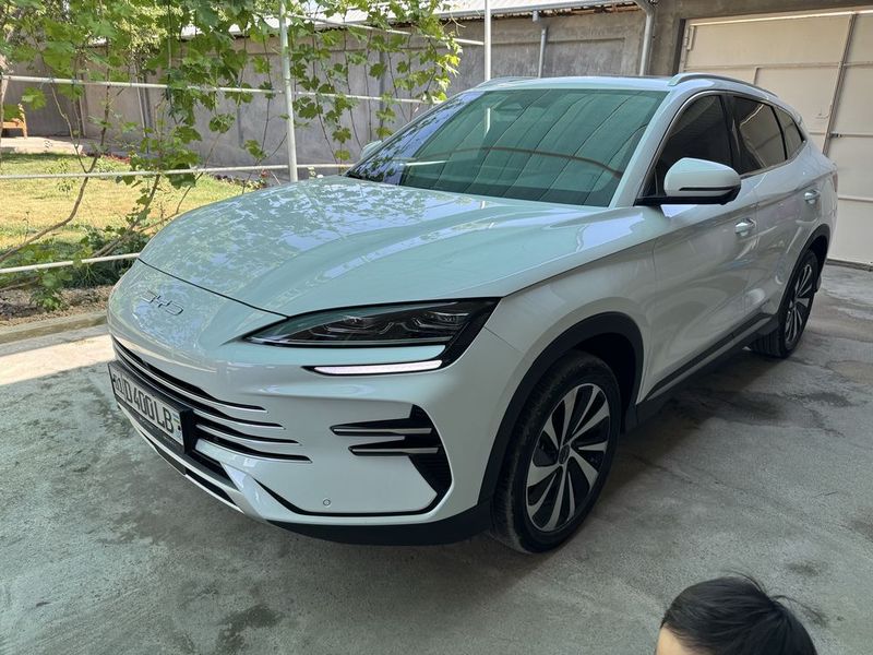 Byd chempion gibrid Byd chempion gibrid