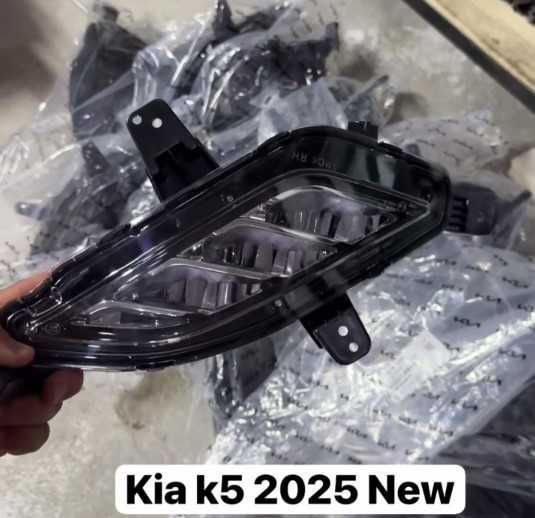 Kia Carnival kia sonet k5 zabchasla Kia Carnival kia sonet k5 zabchasla
