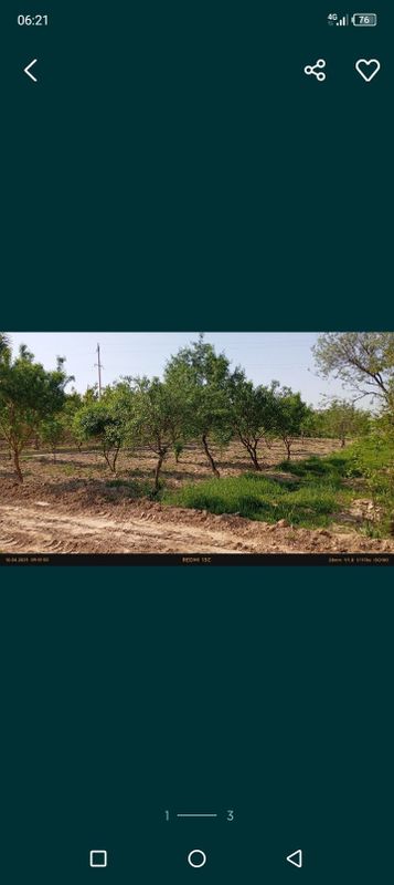 Кумкургон тумани Корсокли МФДан Кумкургон тумани Корсокли МФДан