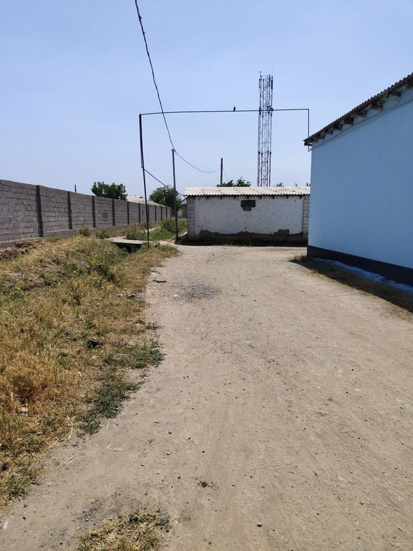 Kavolatli dakument Kavolatli dakument