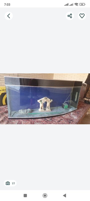 Akvarium 250 Akvarium 250