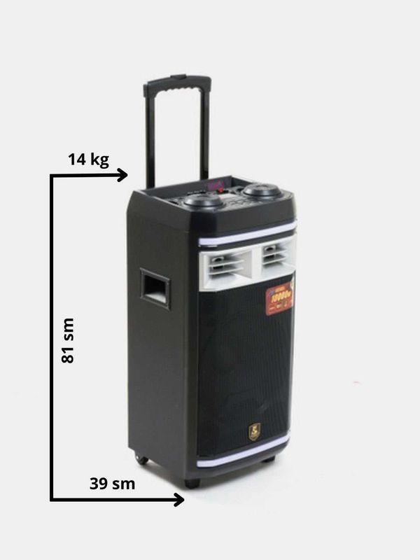 Kalonka CH126 2 ta mikrafonli Kalonka CH126 2 ta mikrafonli