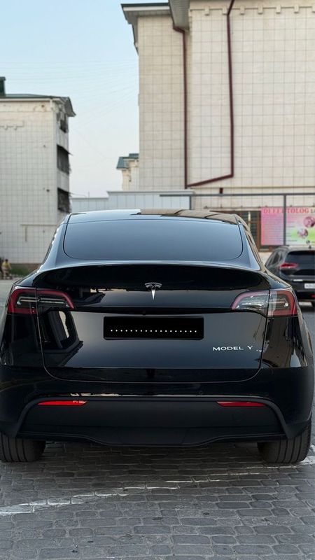 Tesla modul y dual motor