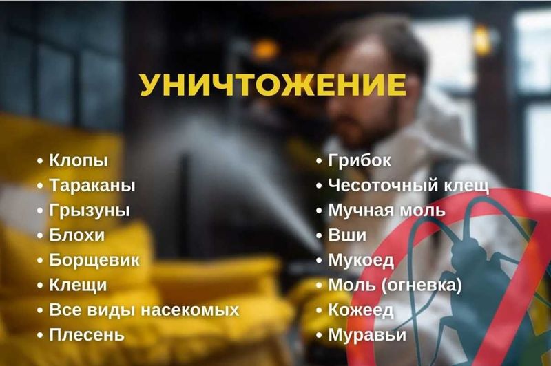 Dezinfeksiya klapa, tarakan | Уничтожение клопов тараканов ос пчел бло Dezinfeksiya klapa, tarakan | Уничтожение клопов тараканов ос пчел бло