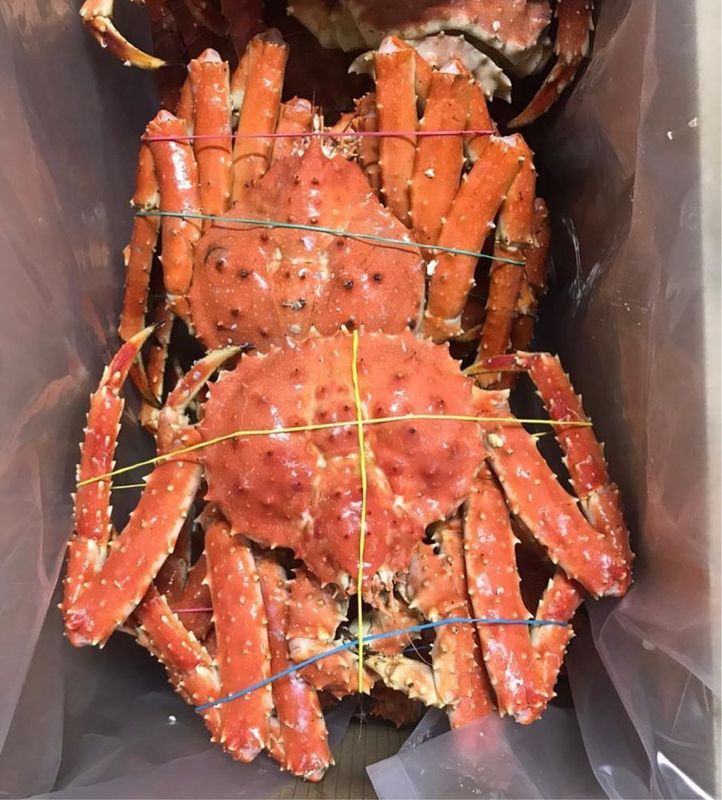 Раки,живые раки,клешни краба,креветки Раки,живые раки,клешни краба,креветки