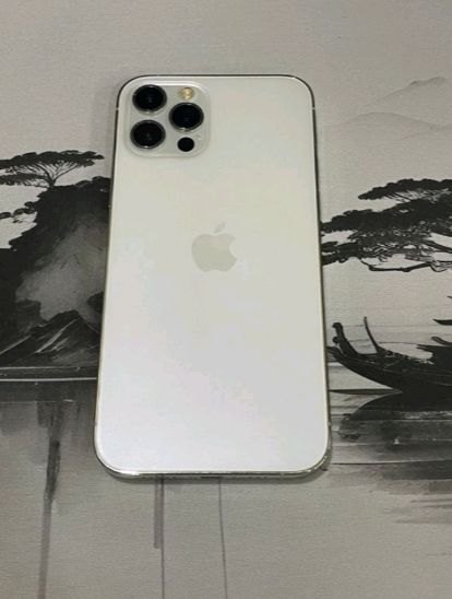 iphone 12 pro