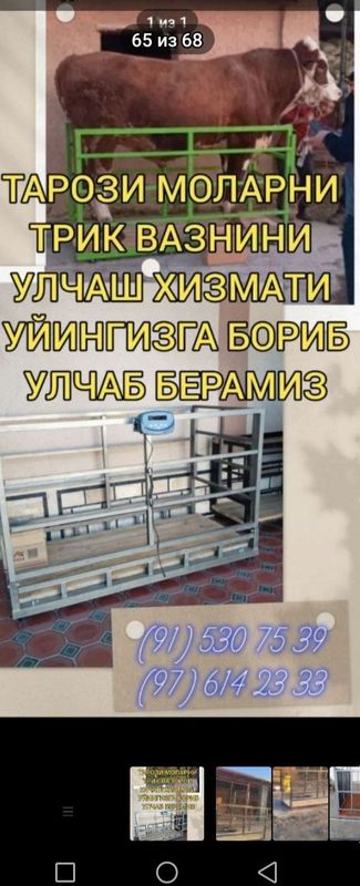 Тарози хизмати уйингизга бориб улчаб берамиз Тарози хизмати уйингизга бориб улчаб берамиз