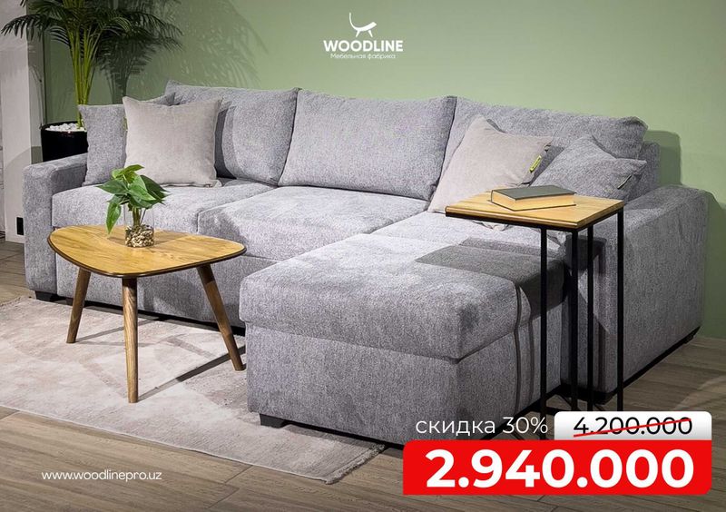 Диван Раксана Старт Гарантия 2 года Woodline|Divan 2 yil kafolat|mebel Диван Раксана Старт Гарантия 2 года Woodline|Divan 2 yil kafolat|mebel