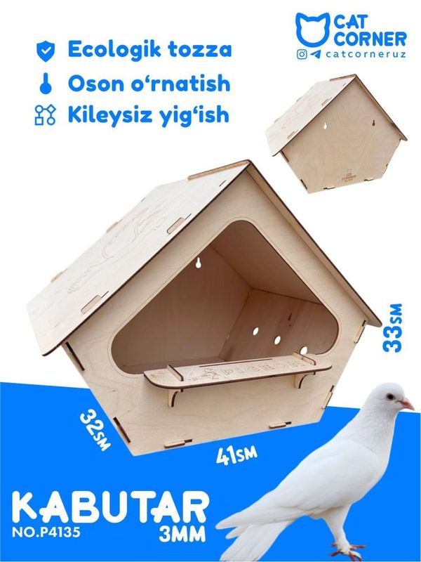 Kabutar kaptar qush uyasi gnezdo Kabutar kaptar qush uyasi gnezdo