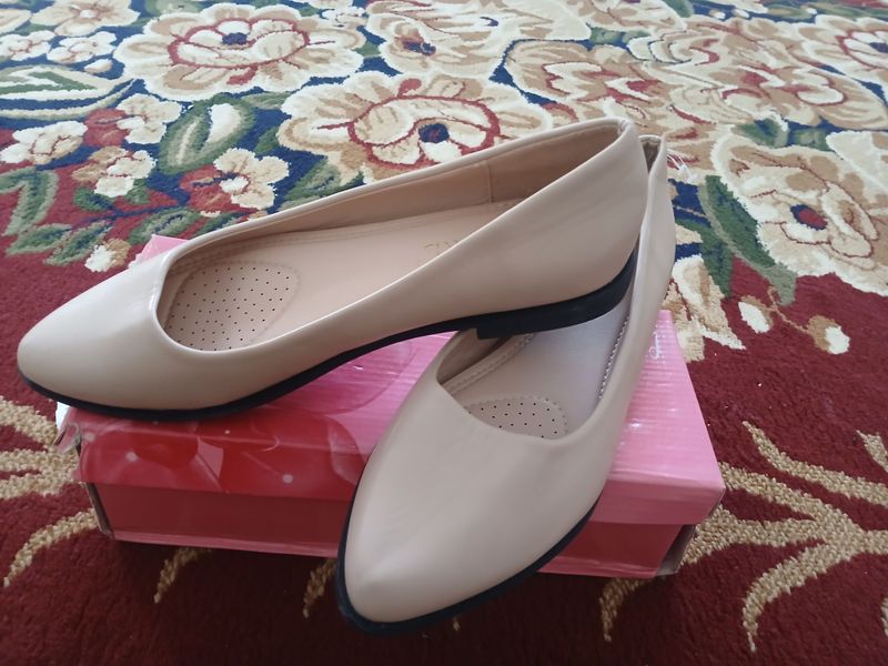 40 razmer 250.000