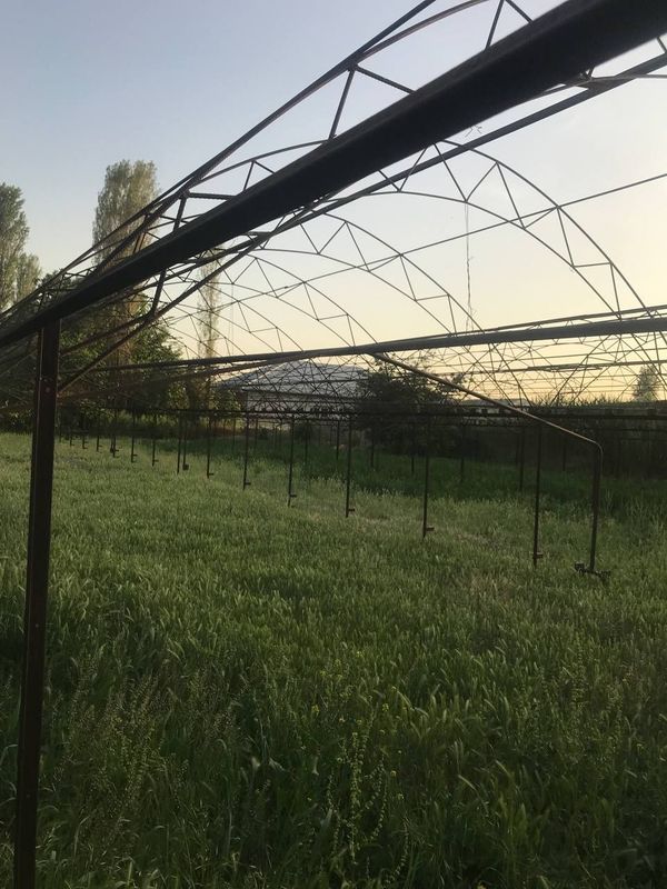 Теплица темир парник Теплица темир парник
