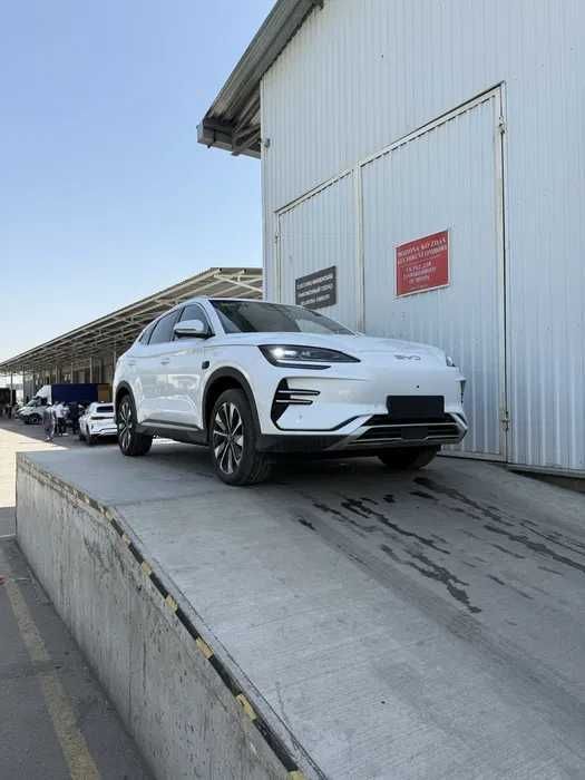 Byd Champion Nasiyaga beriladi Aksiyada Byd Champion Nasiyaga beriladi Aksiyada