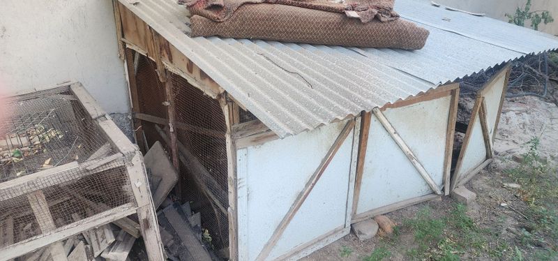 Tovuq katak sotiladi Tovuq katak sotiladi