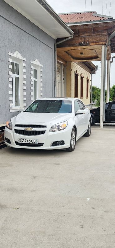 Malibu 1 Rangi oq Malibu 1 Rangi oq