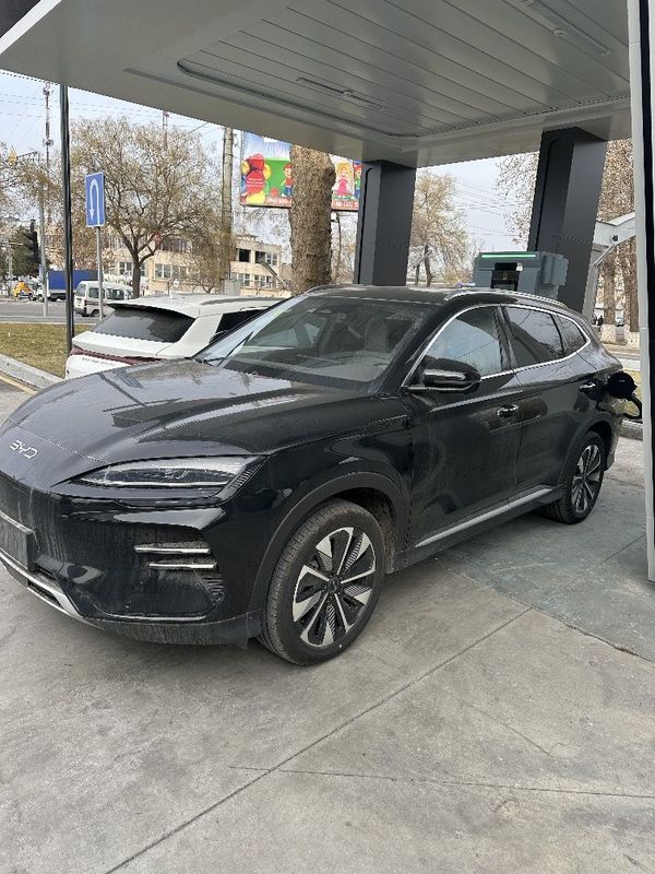 Продаётся BYD Chempion 2025