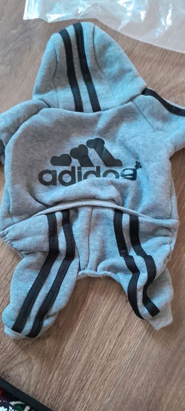 одежда для кошек
