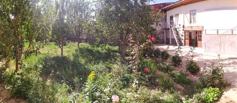 Учқахрамон, ғишт кўприк махаллада 6 хонали участка ижарага берилади. Учқахрамон, ғишт кўприк махаллада 6 хонали участка ижарага берилади.