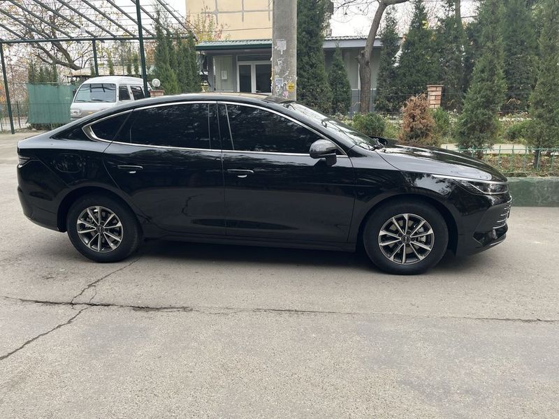 BYD Chazor 1 позиция 55 км