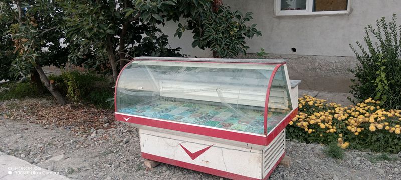veterina Holodilnik BKA konditsioneri bilan