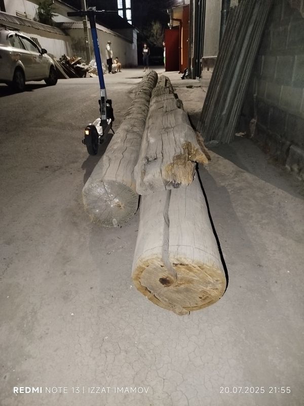 Продаю дерево кругляки 2 шт Продаю дерево кругляки 2 шт
