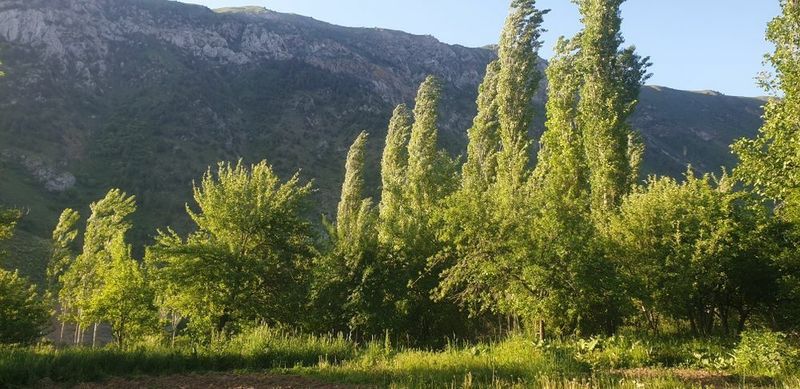 Uchaska sotiladi 13.4 sotk Uchaska sotiladi 13.4 sotk