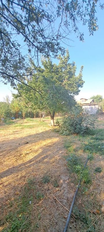 Земля 6 соток Дача Навбахор Рядом Паркент Янгибазар Джумабазар