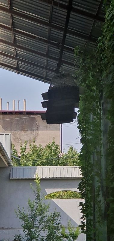 Bedana sotiladi 5 ta bor narx hammasiga Bedana sotiladi 5 ta bor narx hammasiga