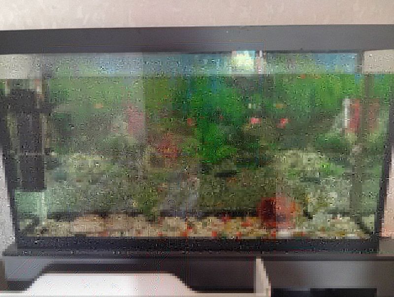 Akvarium аквариум Akvarium аквариум