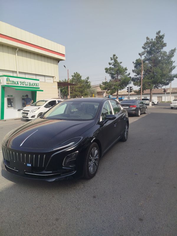 Hongqi Eqm5 500tali Hongqi Eqm5 500tali