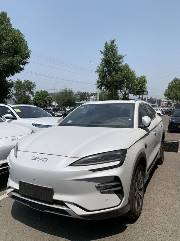 Byd chempion smart natarusga tayor