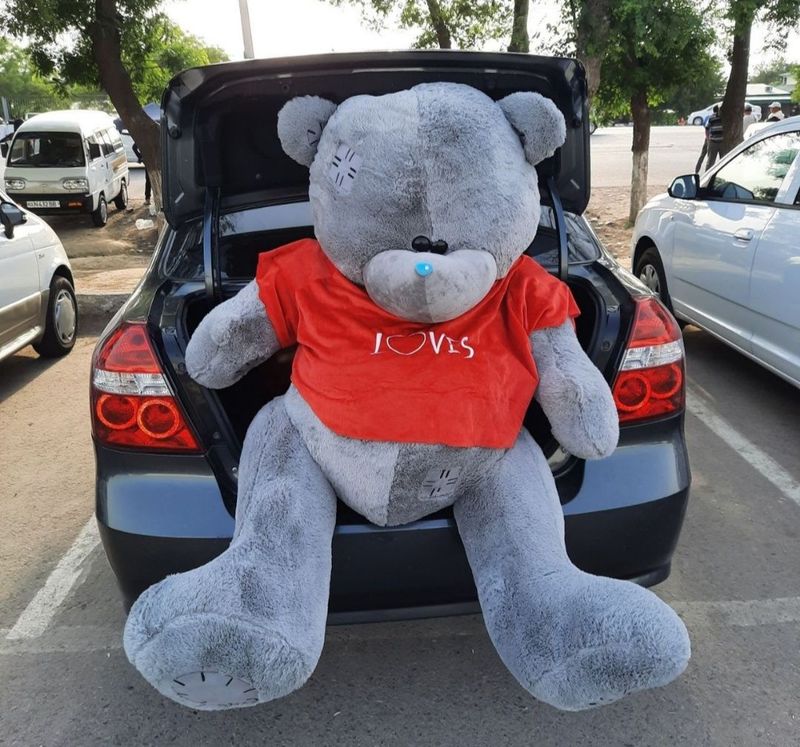 "teddy ayiq" 2metr