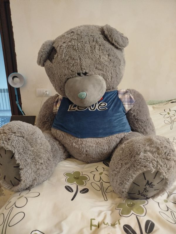 Mishka teddy original