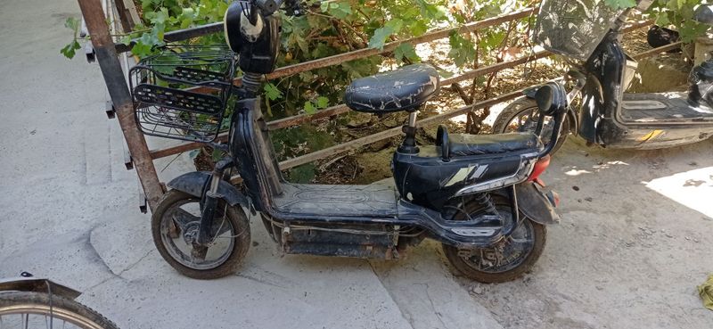 Skuter xolati urtacha 100$