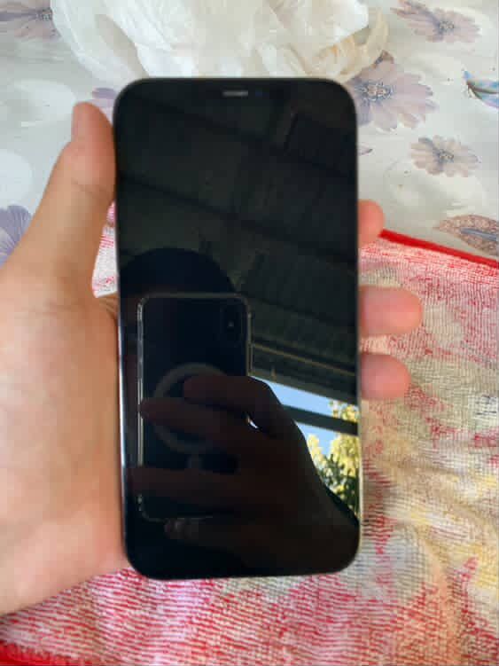 Iphone 12 pro max Iphone 12 pro max