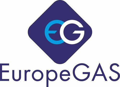 Настройка ГБО 4/4+ поколения (EuropeGAS,Stag)(пропан,метан).