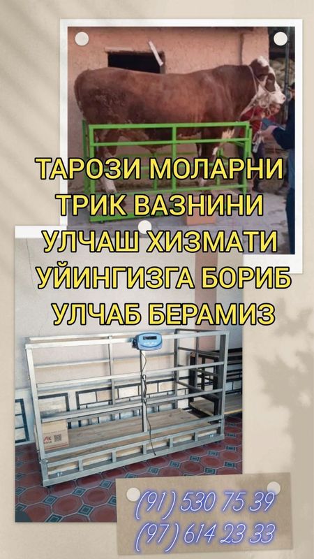 Tarozi xizmati uyingizga borib ulchb beramizer