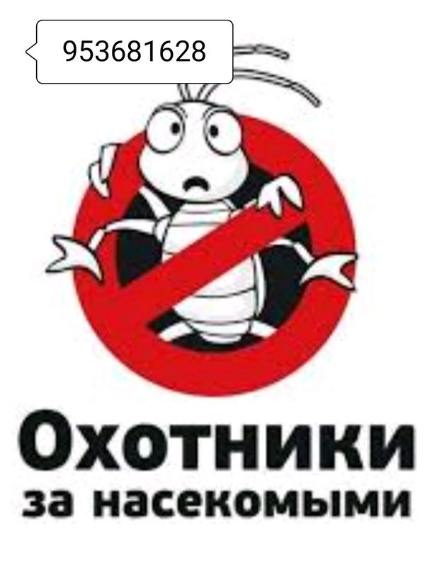 дезинфекция