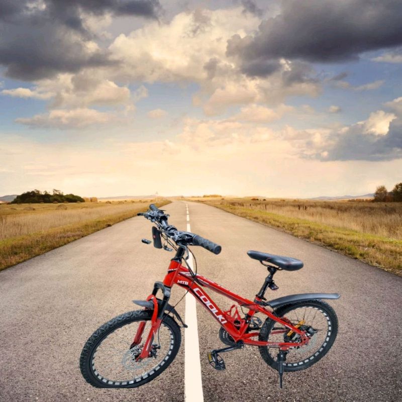 Детский велосипед 20дюйм (тормоза Shimano) Детский велосипед 20дюйм (тормоза Shimano)