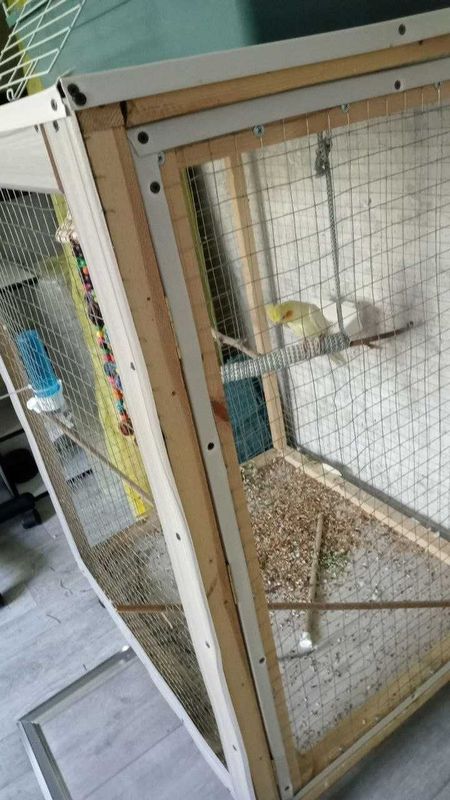 Продаю большую клетку для птиц Продаю большую клетку для птиц