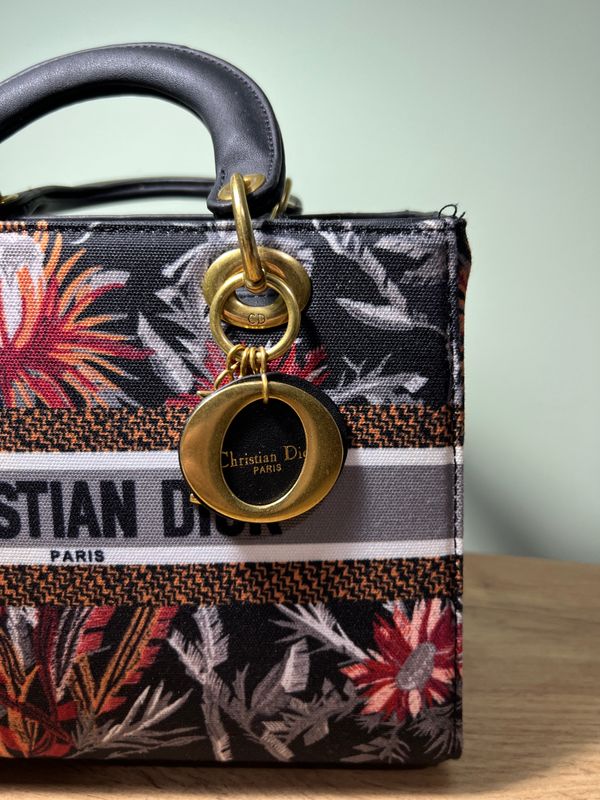 Christian Dior Modniy sumka Christian Dior Modniy sumka
