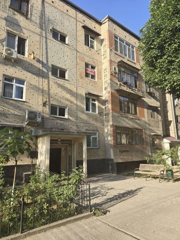 3/3/4 ; Кора Камиш 2/4 3/3/4 ; Кора Камиш 2/4
