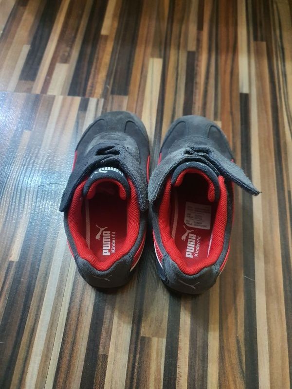 Puma .